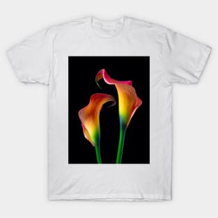 Together Two lovely Calla Lilies T-Shirt